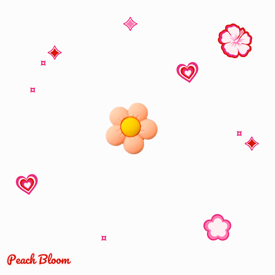 Charms - Petal Pop - Boîte de 23 pièces
