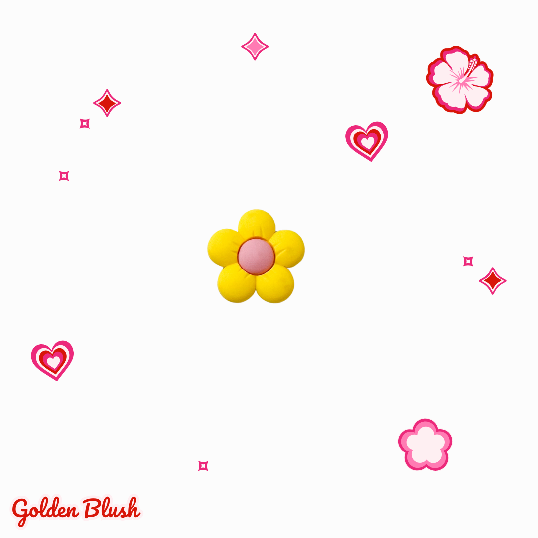 Charms - Petal Pop - Boîte de 23 pièces