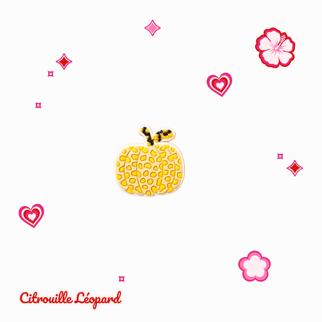 Charms - Cheetah