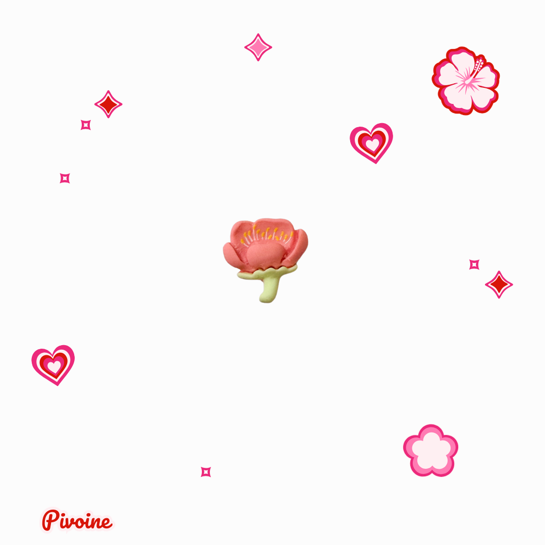 Charms - Flora Bloom - Boîtes de 24 pièces