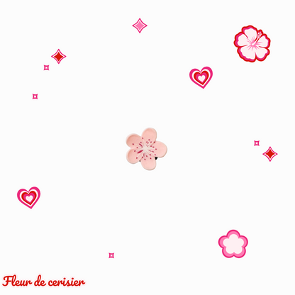 Charms - Flora Bloom - Boîtes de 24 pièces